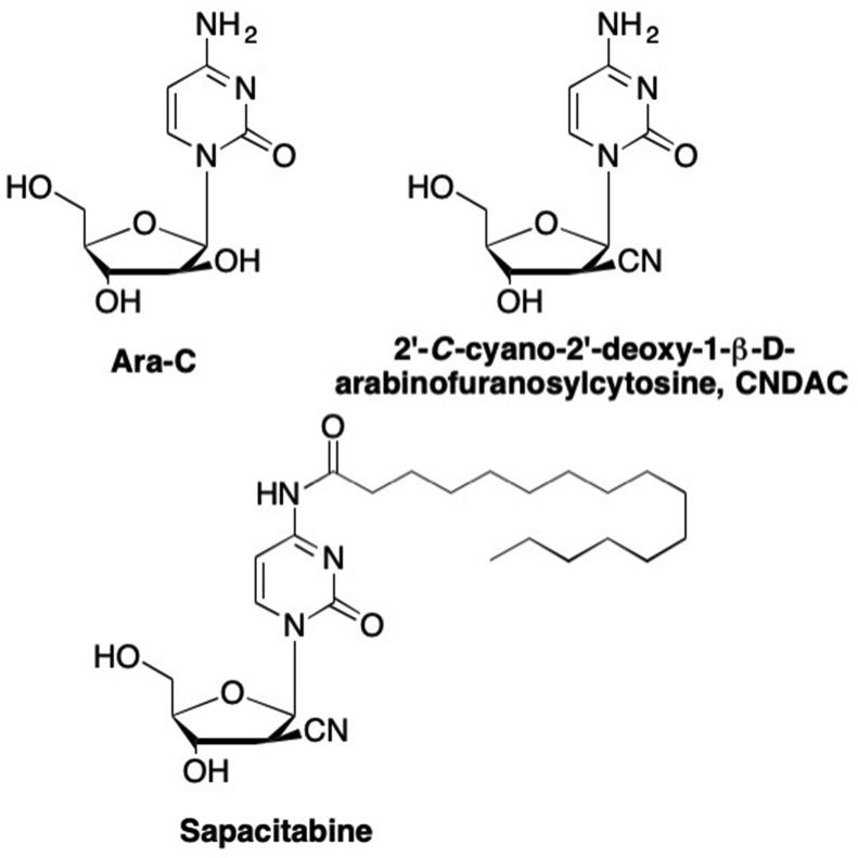 Fig. 12