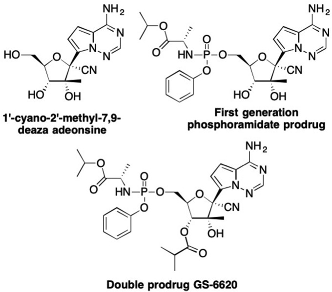 Fig. 11