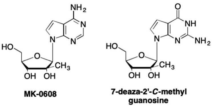 Fig. 7