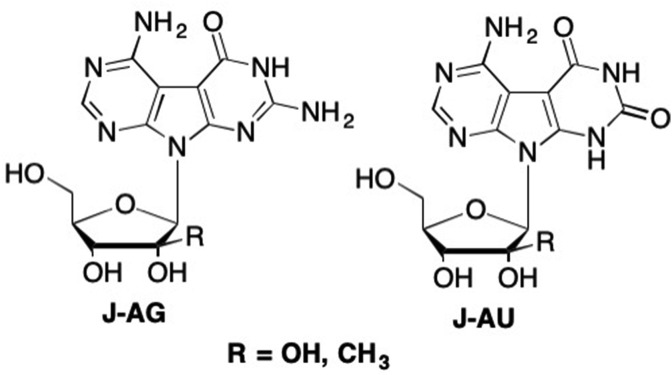 Fig. 24