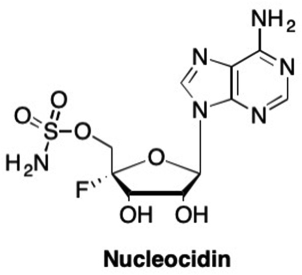 Fig. 14