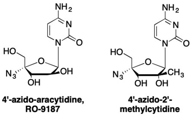 Fig. 19