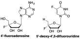 Fig. 15