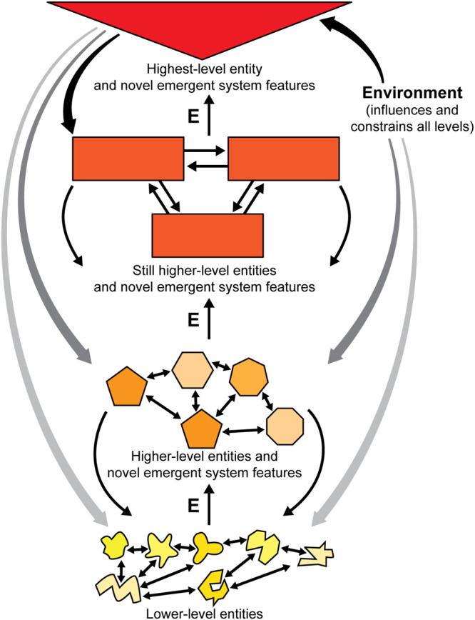 FIGURE 1