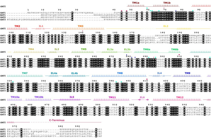FIGURE 4