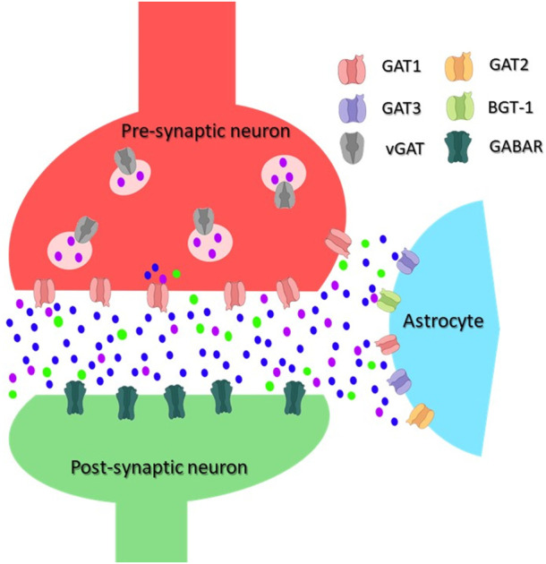 FIGURE 1