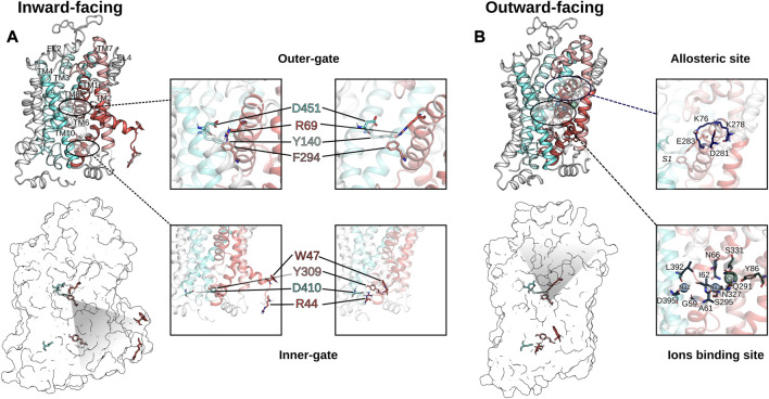 FIGURE 3