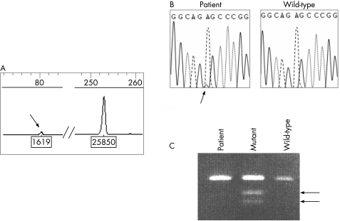 graphic file with name mg34140.f3.jpg