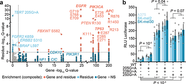 Fig. 4: