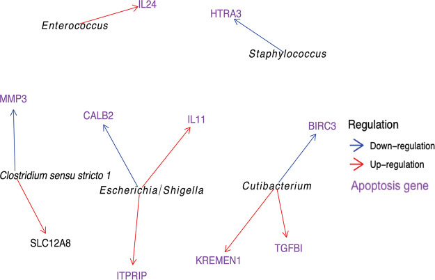 FIG 3