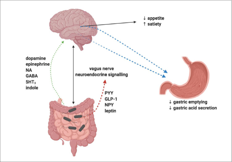 Fig. 7