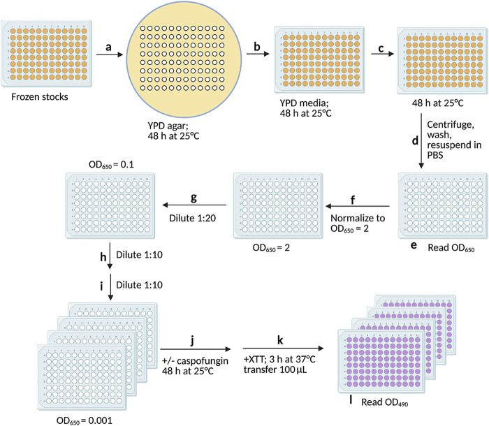 FIG 1