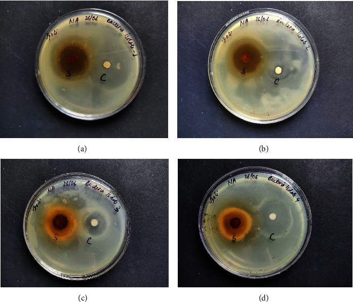 Figure 10