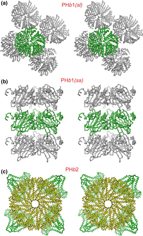 Supplementary Fig. 2