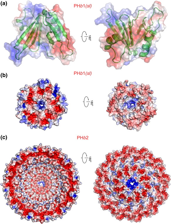 Supplementary Fig. 3