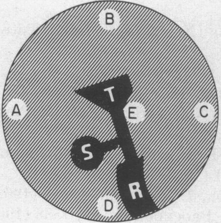 graphic file with name pnas00184-0156-d.jpg