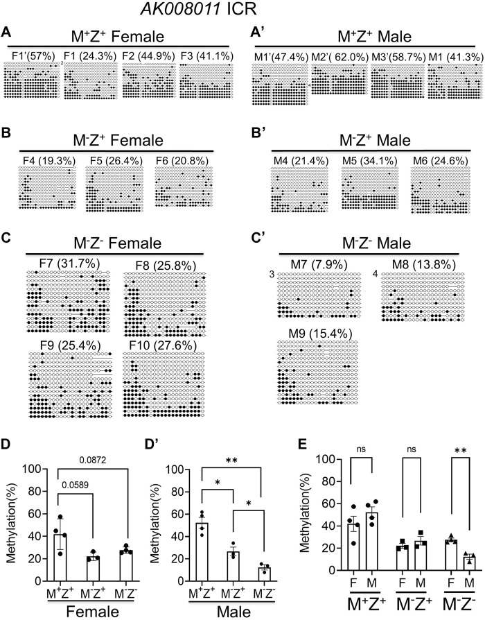 FIGURE 4