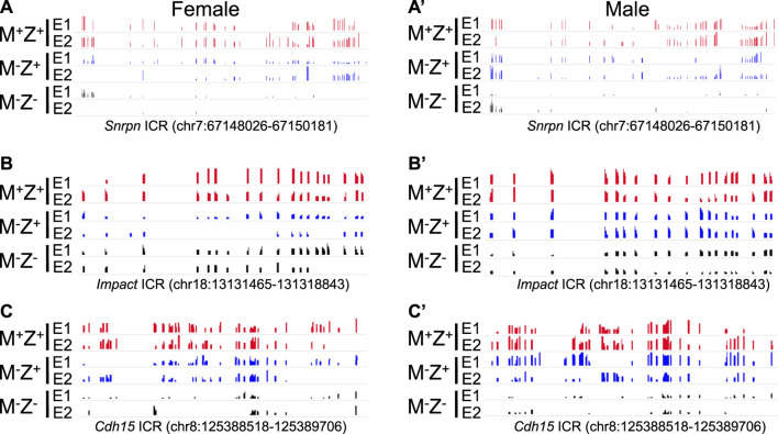 FIGURE 6