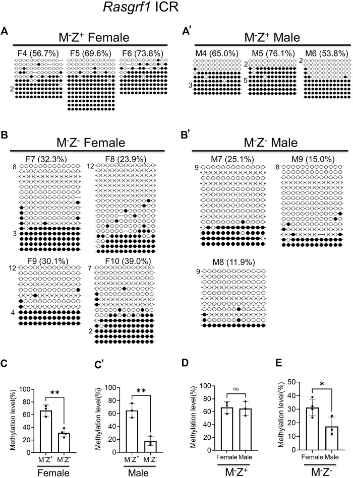 FIGURE 3