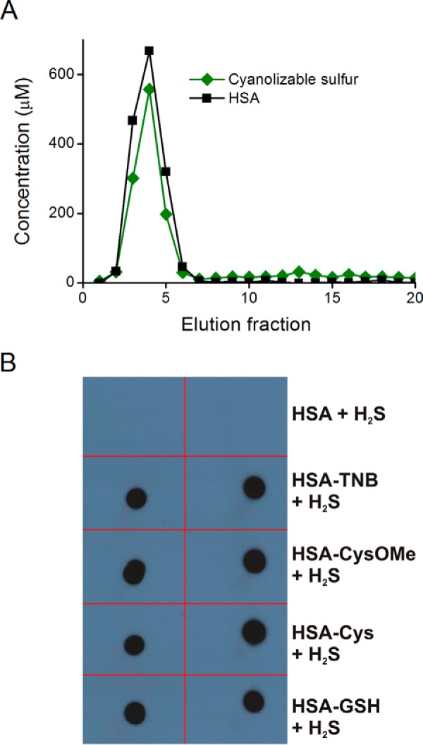 FIGURE 7.