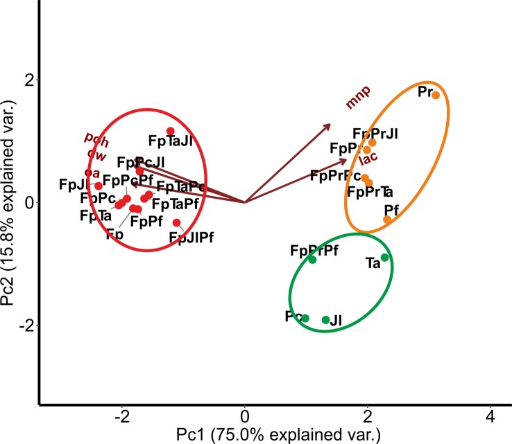 Fig 6