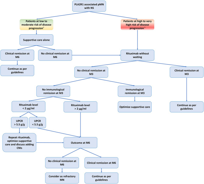 Advances in the Management of Primary Membranous Nephropathy and ...