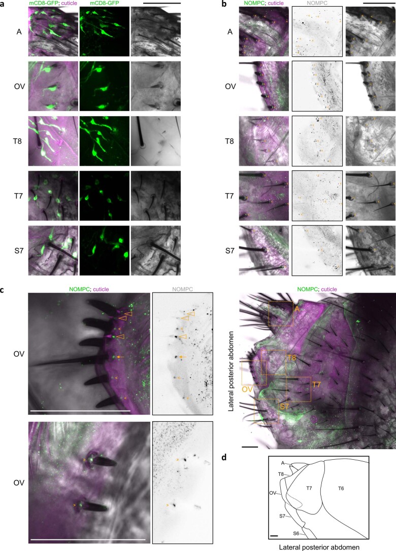 Extended Data Fig. 3