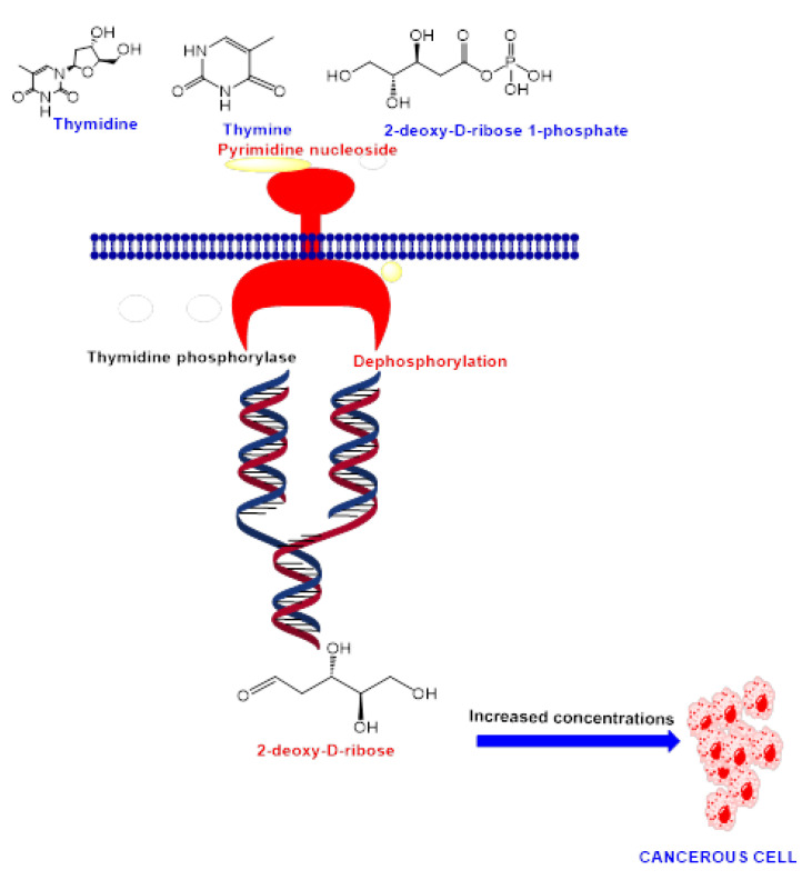 Figure 22