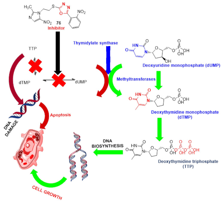 Figure 20