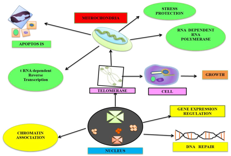 Figure 10