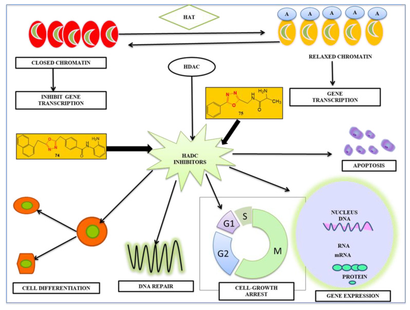 Figure 17