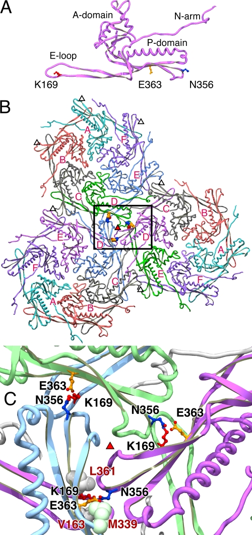 FIG. 2.