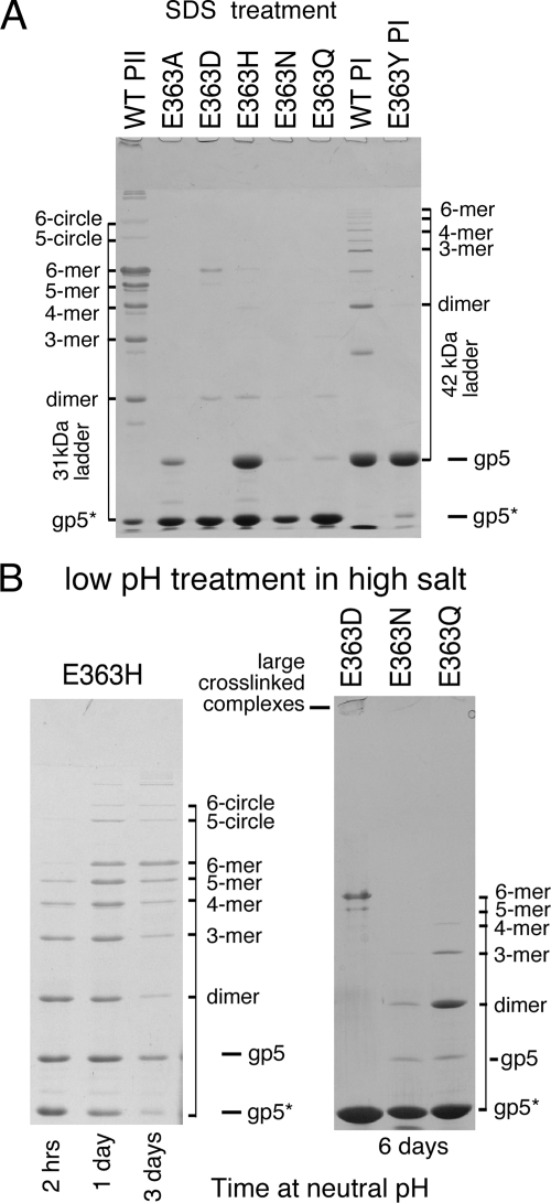 FIG. 6.