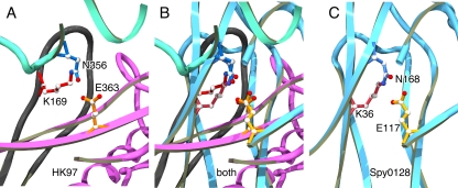 FIG. 9.