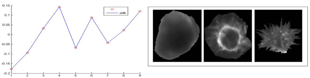 Fig. 13