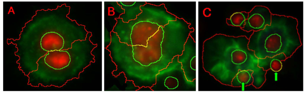 Fig. 11