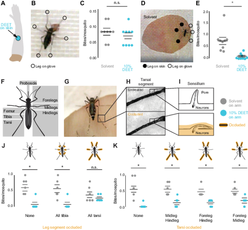 Figure 2 |