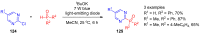 Scheme 30