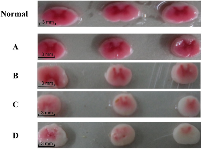 Fig. 4