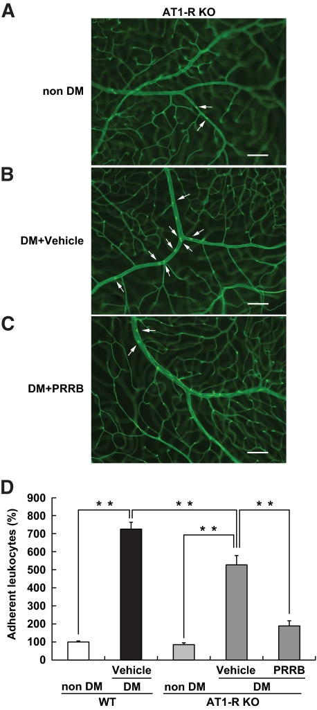 FIG. 5.