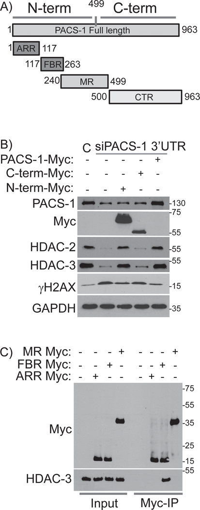 Figure 5: