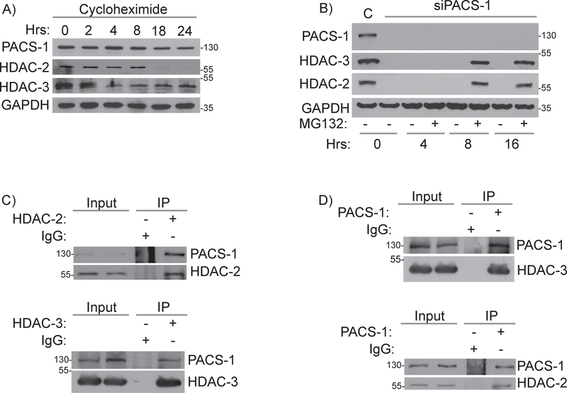 Figure 4: