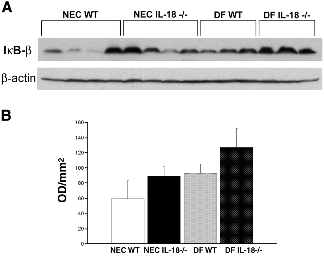 Fig. 9