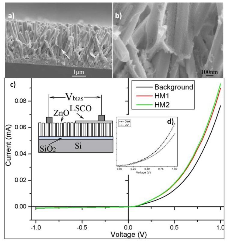 Figure 7