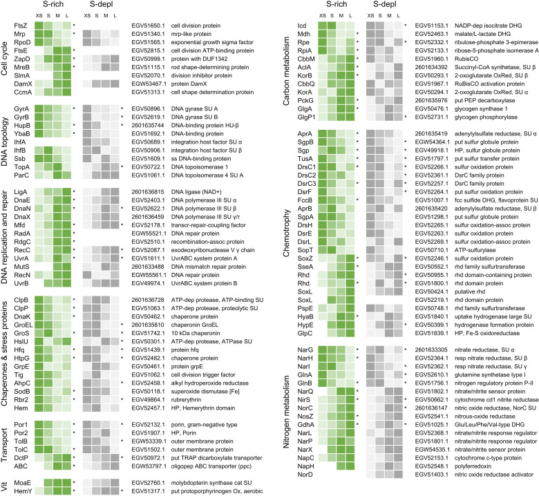 Figure 3—figure supplement 1.