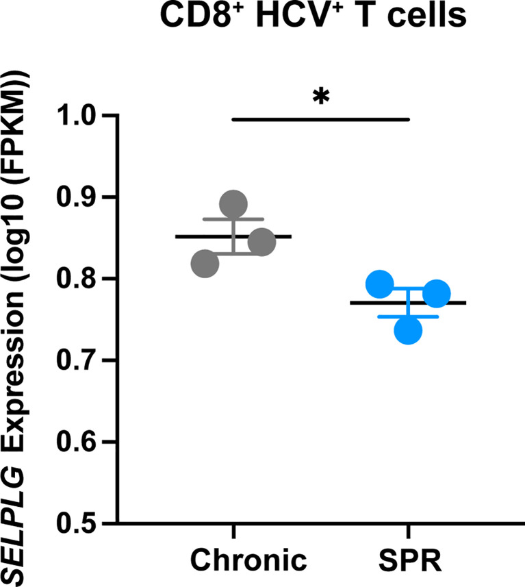 Figure 7