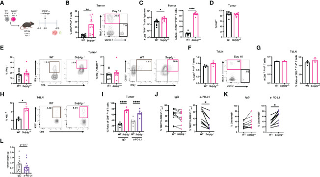 Figure 6