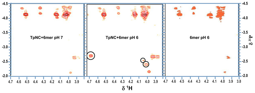 Fig. 10