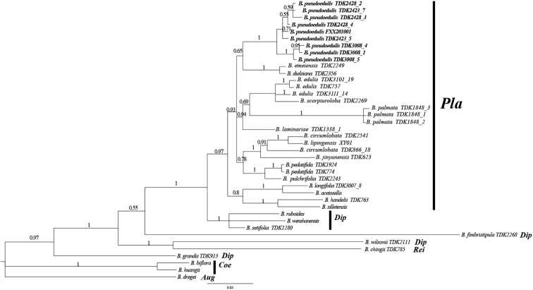 Figure 5.