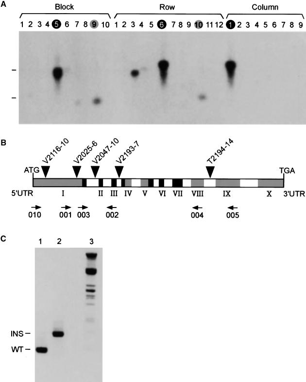 Figure 5.